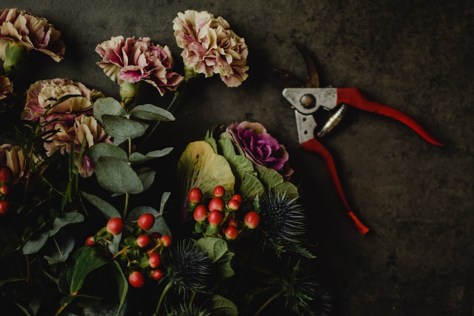 Lagerungsdauer von Blumenkohl erfahren