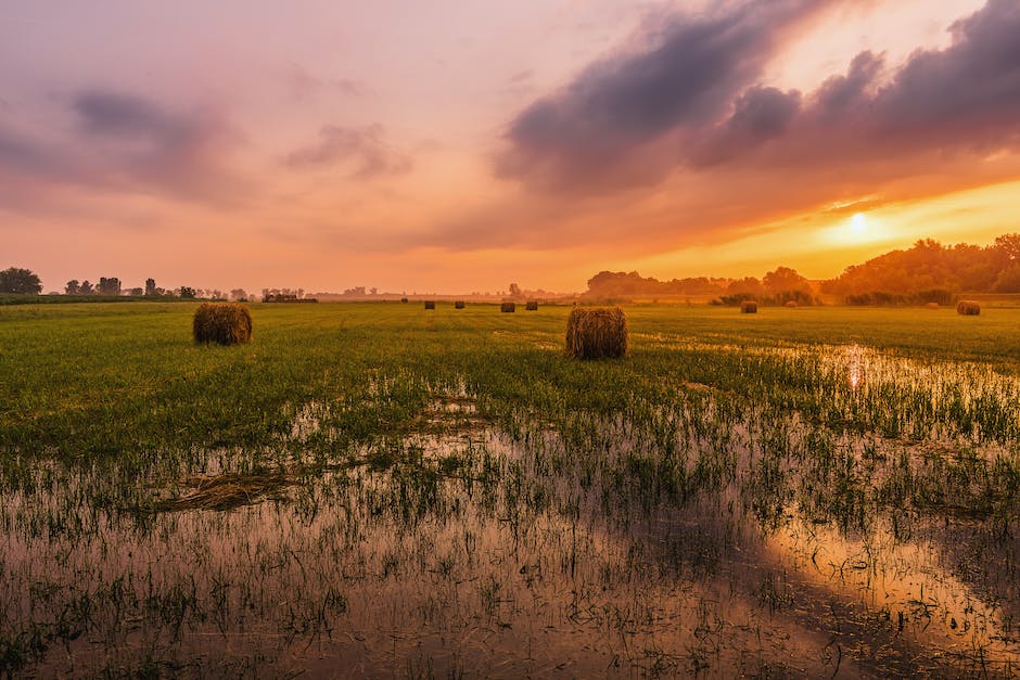 Lagerung von Mist auf dem Feld - wie lange ist erlaubt?