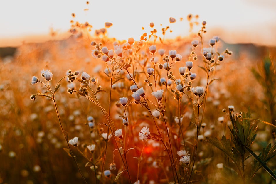 Lagerdauer für Blumenerde