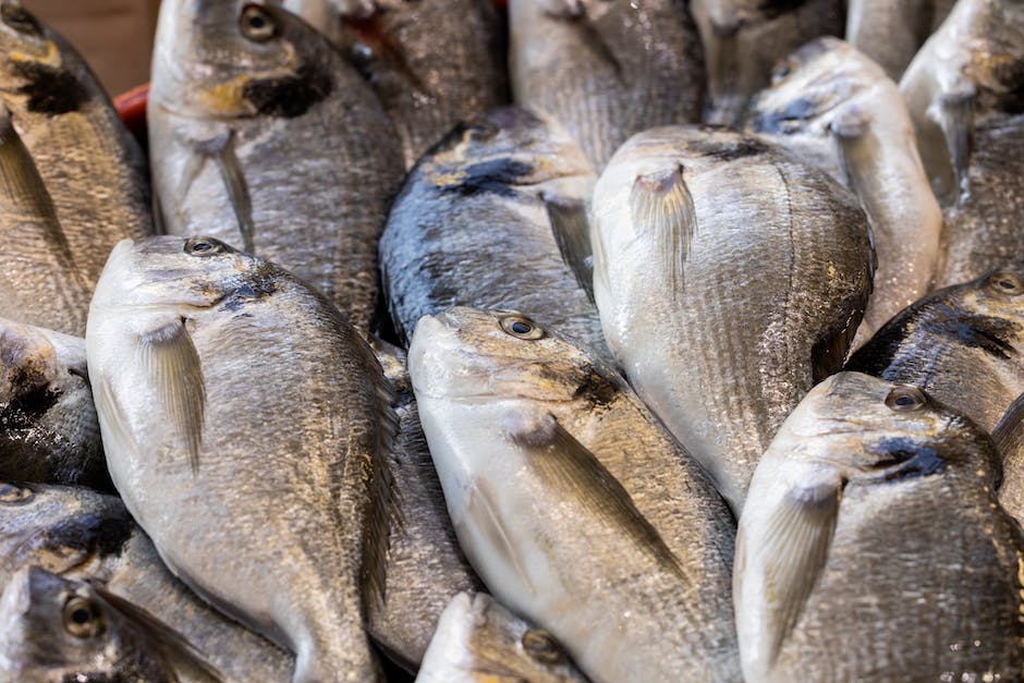 Lagerungszeit von rohem Fisch im Kühlschrank