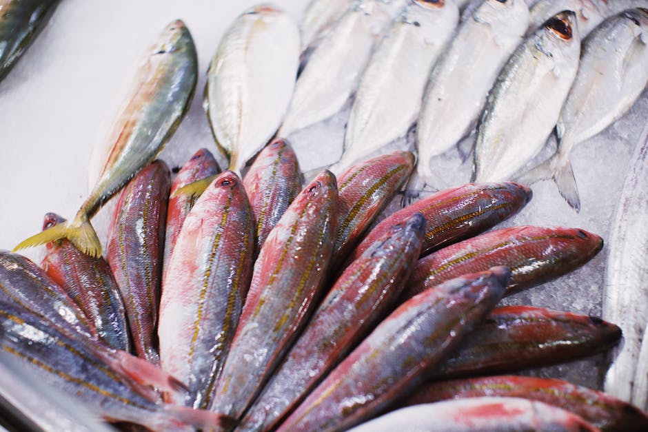  Kühlungszeit von rohem Fisch im Kühlschrank