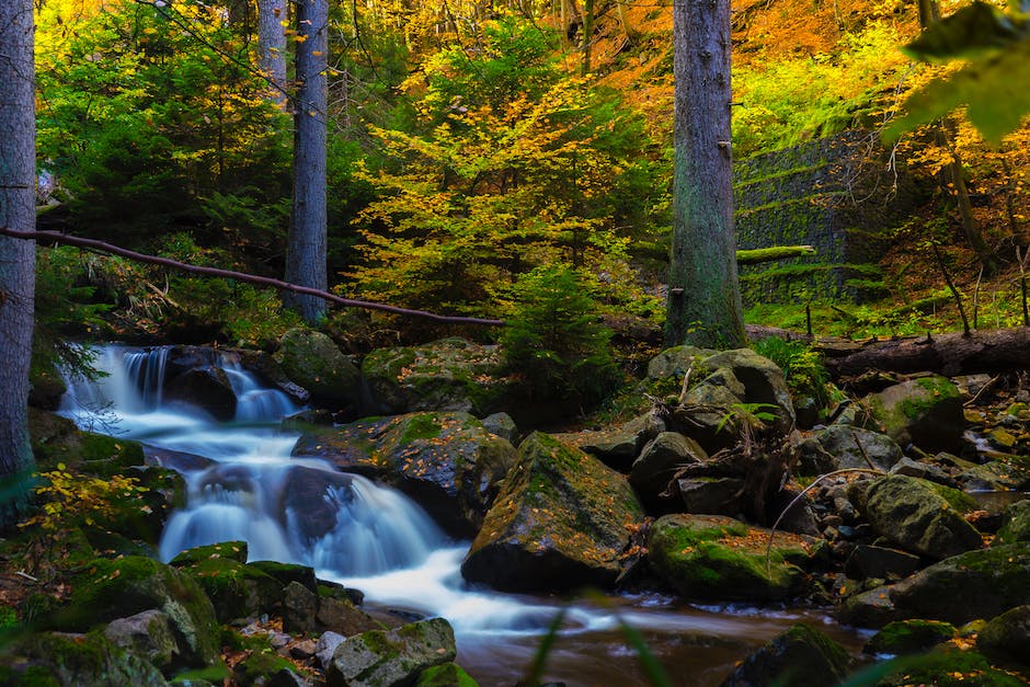 Kanister-Lagerung von Trinkwasser-Tipps