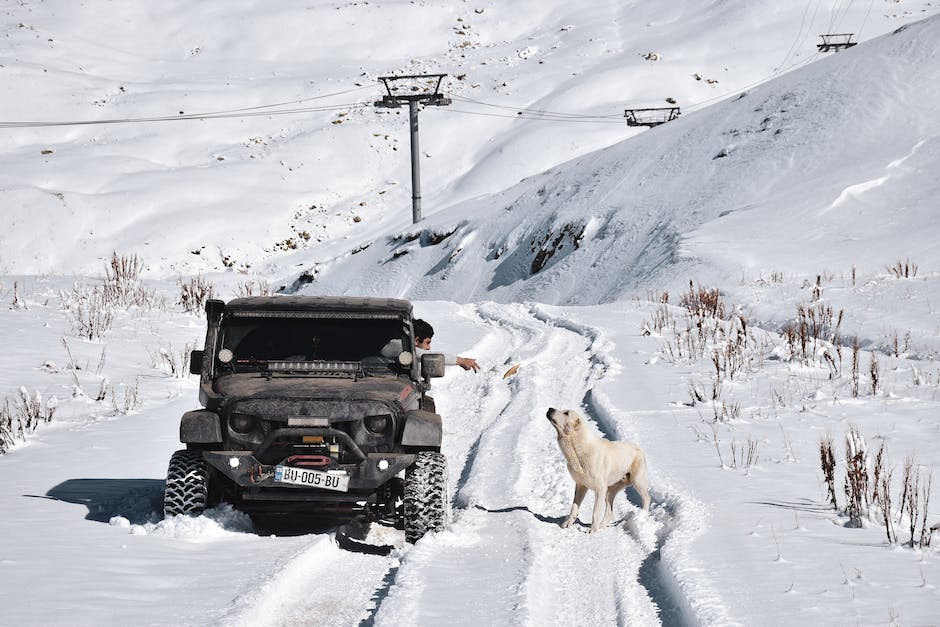  Winterreifen-Lagerung: Wie lange ist möglich?